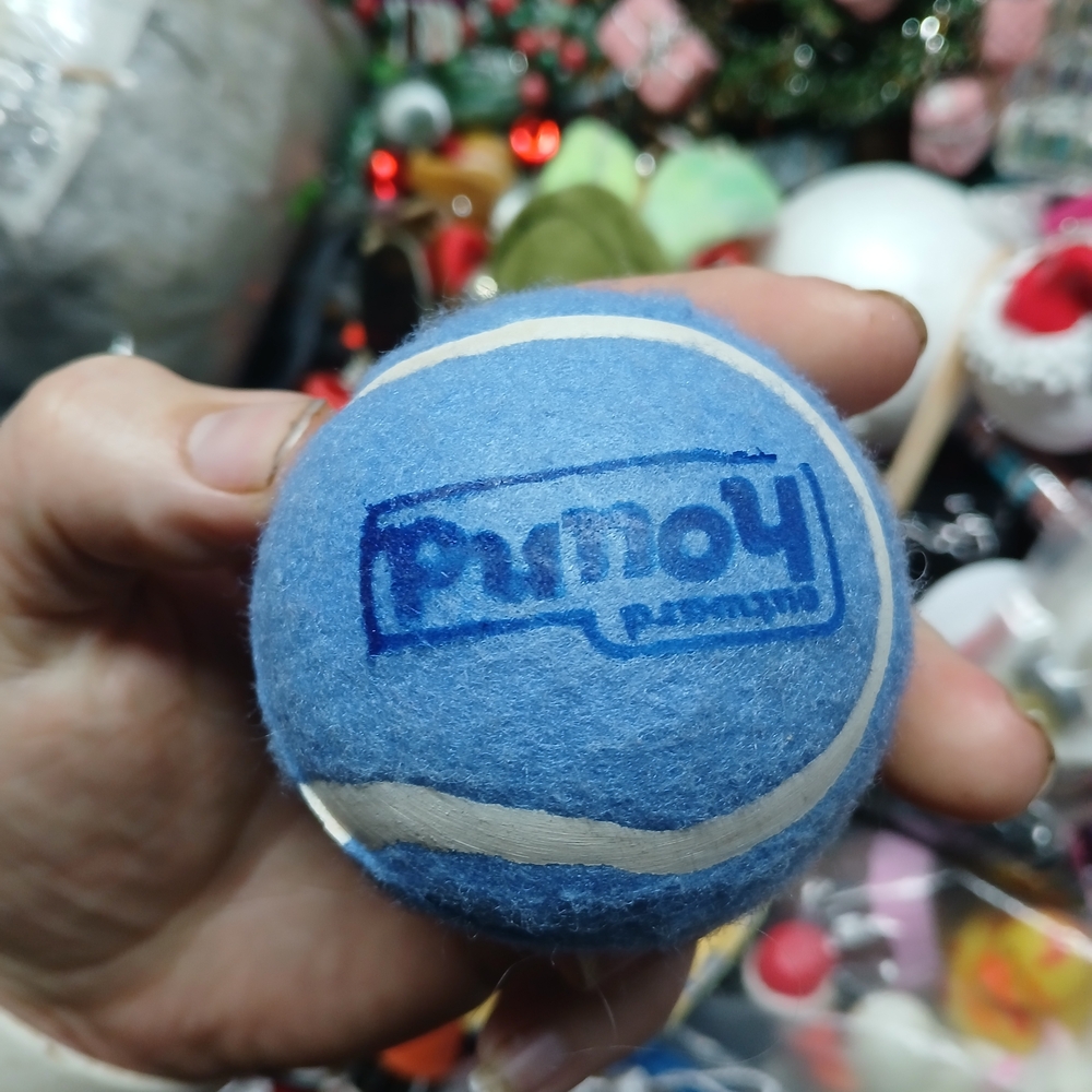 Peony and Moss Blue and White Fuzzy Dog Tennis Ball